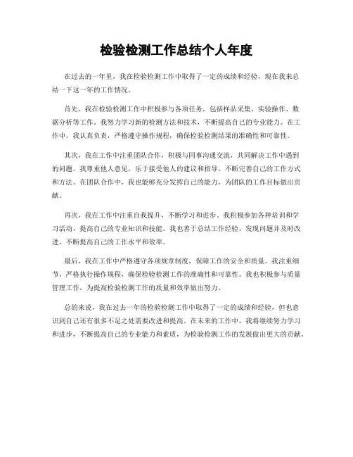 检验检测工作总结个人年度