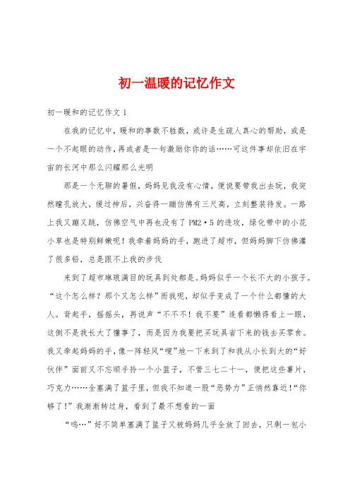 初一温暖的记忆作文