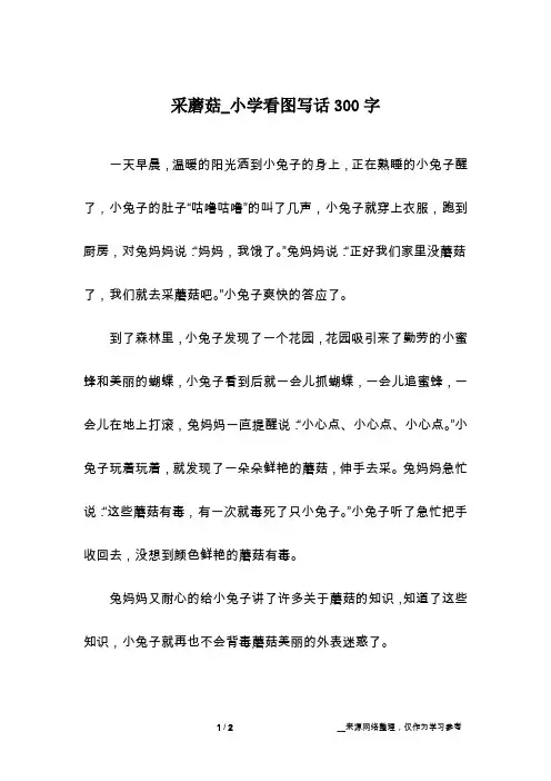 采蘑菇_小学看图写话300字