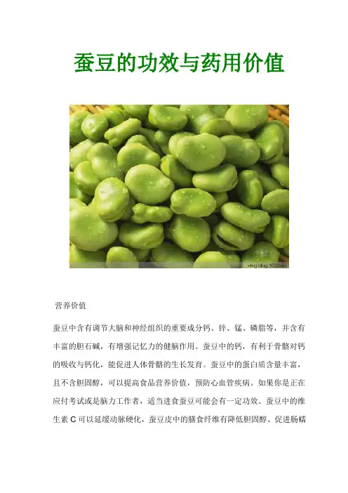 蚕豆的功效与药用价值
