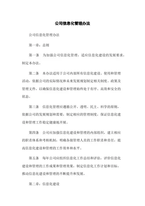 公司信息化管理办法