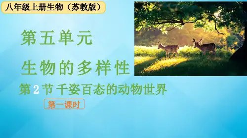 苏教版生物八年级上册 第十四章  第二节 千姿百态的动物世界 