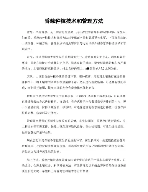 香葱种植技术和管理方法