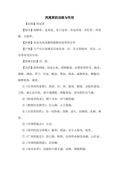 凤尾草的功效与作用_0