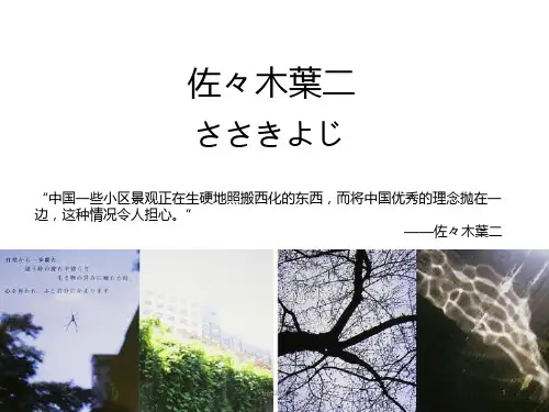 佐佐木叶二与榉树广场  ppt课件