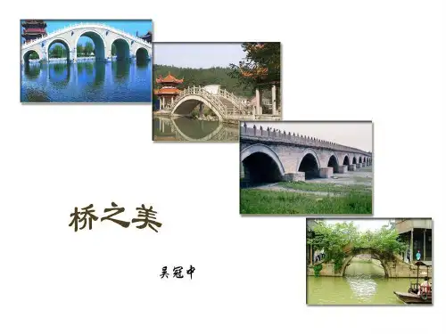 《桥之美》课件PPT文档