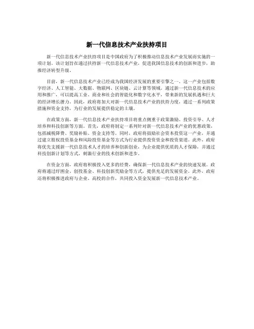 新一代信息技术产业扶持项目