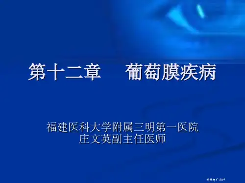 葡萄膜疾病2009