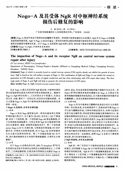 Nogo-A及其受体NgR对中枢神经系统损伤后修复的影响