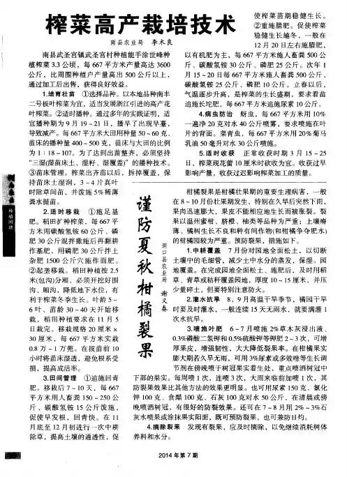 榨菜高产栽培技术