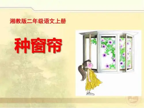 种窗帘-PPT精品教学课件