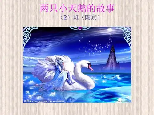 生子复习故事两只小天鹅