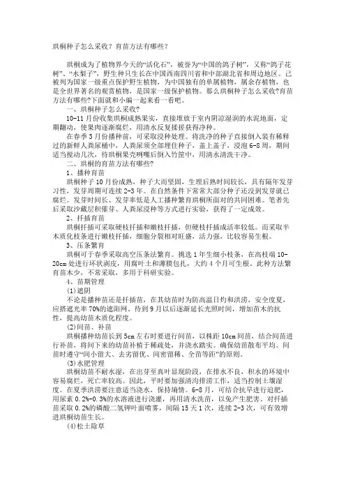 珙桐种子怎么采收？育苗方法有哪些？