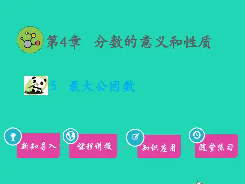 五年级数学下册第4章分数的意义和性质5最大公因数教学新人教版
