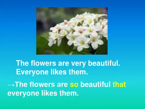 英语：Unit 5(PPT)5-4.6《Grammar 2》课件(译林牛津版八年级下)