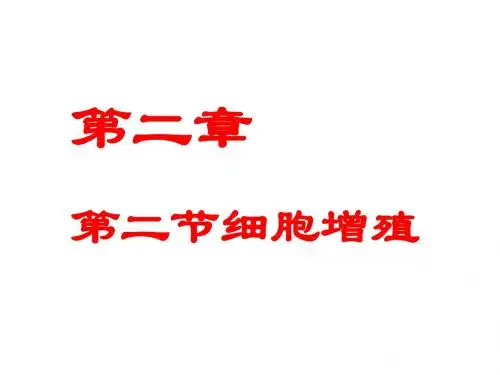 细胞的增殖