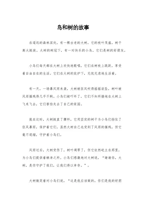 鸟和树的故事