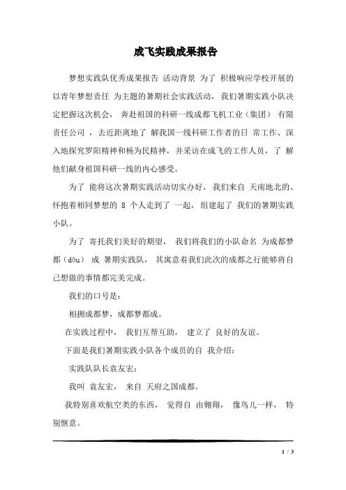 成飞实践成果报告