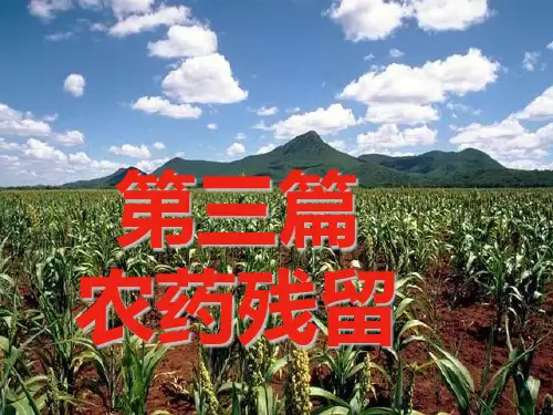 第三篇农药残留PPT课件
