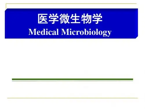 称化脓性球菌
