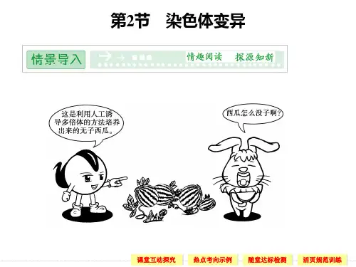 新课标人教版生物必修二521染色体变异ppt课件