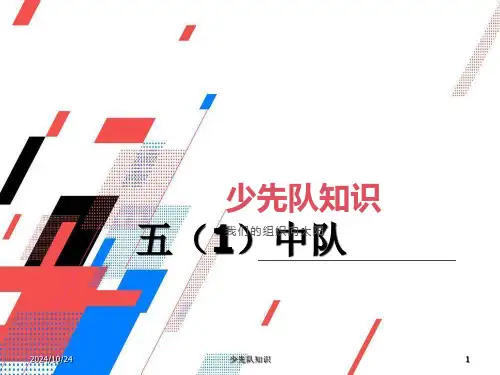 《少先队基础知识》主题中队活动班会课件