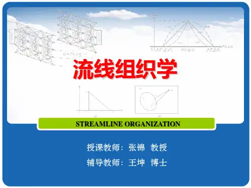 第5章 非线性流线优化模型及其求解算法