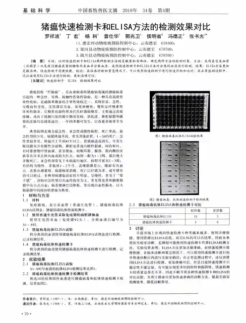 猪瘟快速检测卡和ELISA方法的检测效果对比