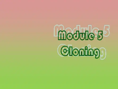 外研版选修6Module5Reading课件
