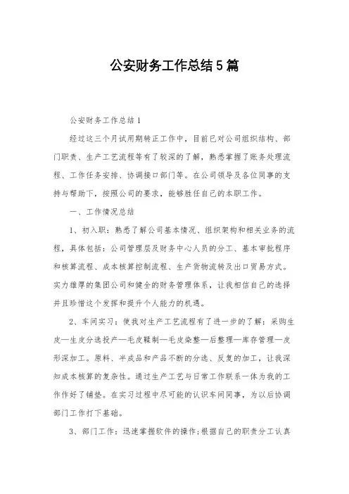 公安财务工作总结5篇