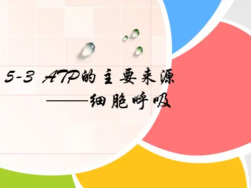 ATP的主要来源 细胞呼吸