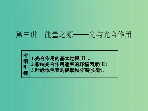 高考生物一轮总复习 第三单元 第三讲 能量之源-光与光合作用课件