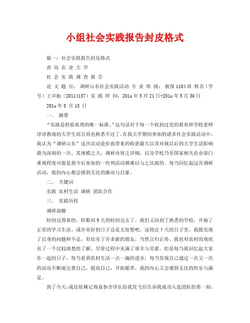 小组社会实践报告封皮格式