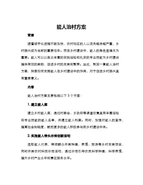 能人治村方案