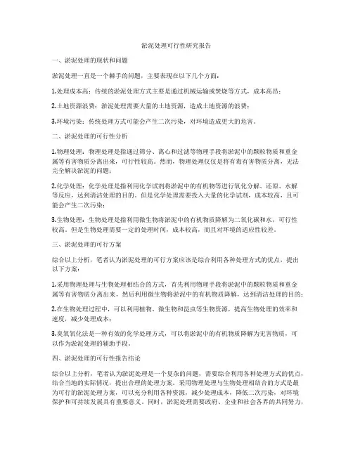 淤泥处理可行性研究报告
