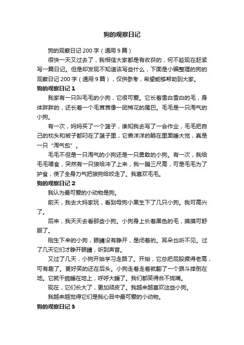 狗的观察日记200字（通用9篇）