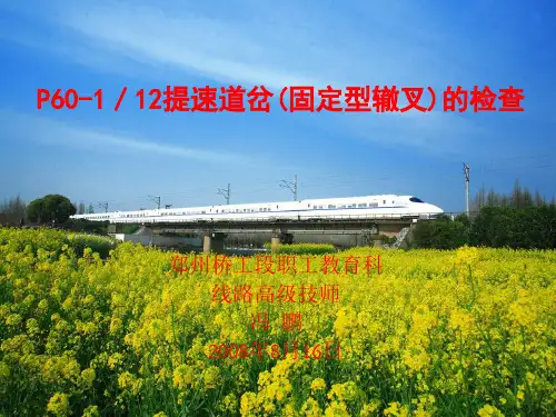 提速60-12号道岔实作比武资料