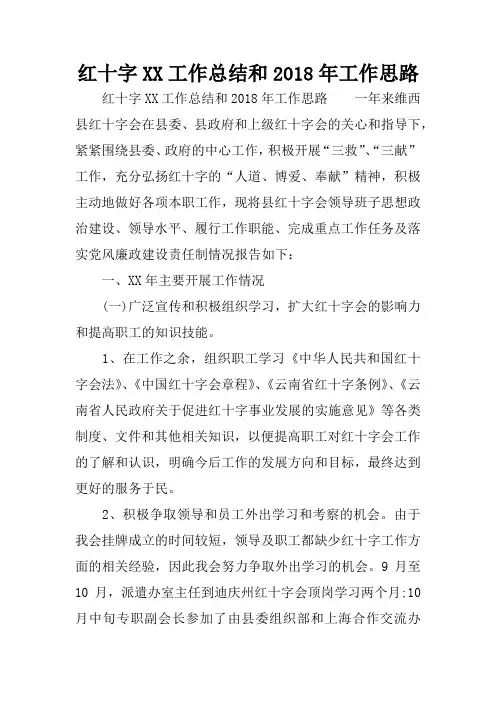 红十字XX工作总结和2018年工作思路
