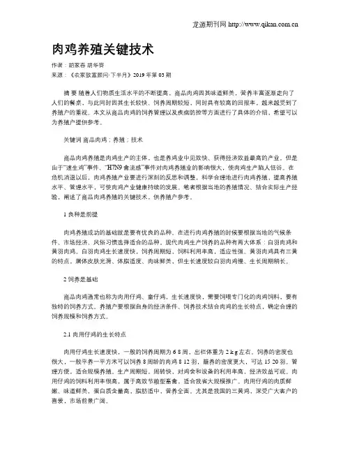 肉鸡养殖关键技术
