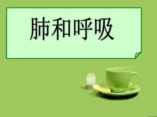 肺和呼吸ppt