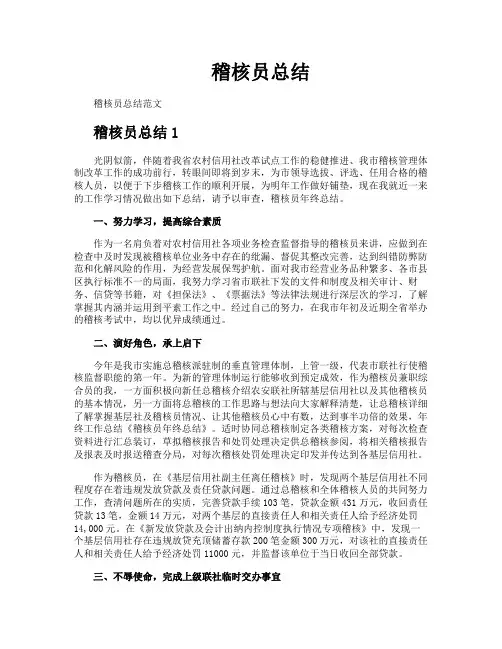 稽核员总结