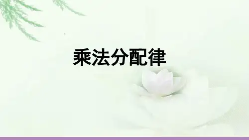 《乘法分配律》教学PPT课件