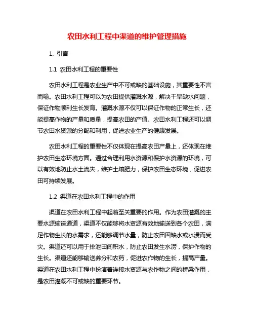 农田水利工程中渠道的维护管理措施