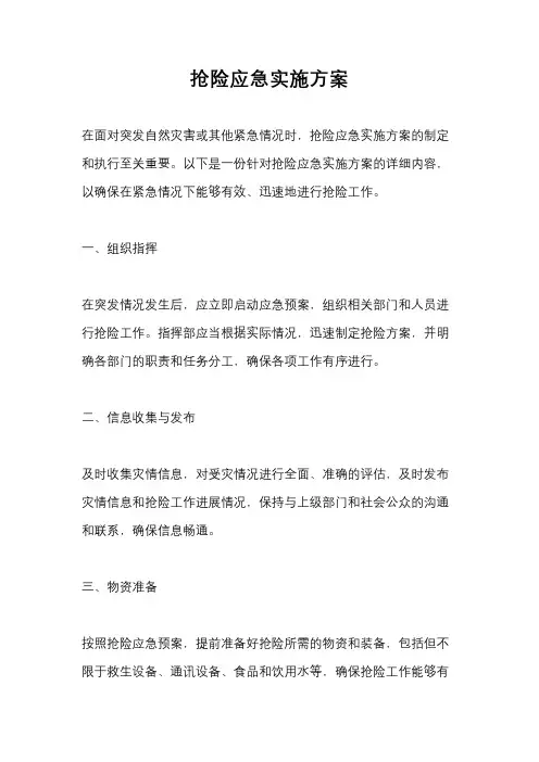 抢险应急实施方案