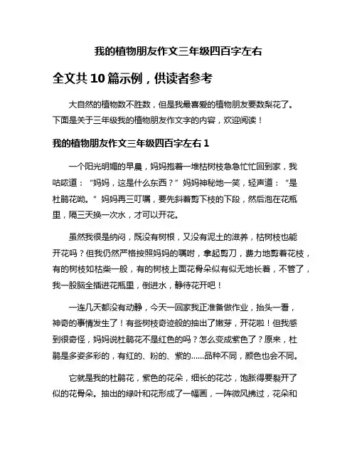 我的植物朋友作文三年级四百字左右