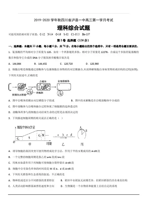 四川省泸州市泸县第一中学2020届高三上学期第一次月考理科综合试题 含答案