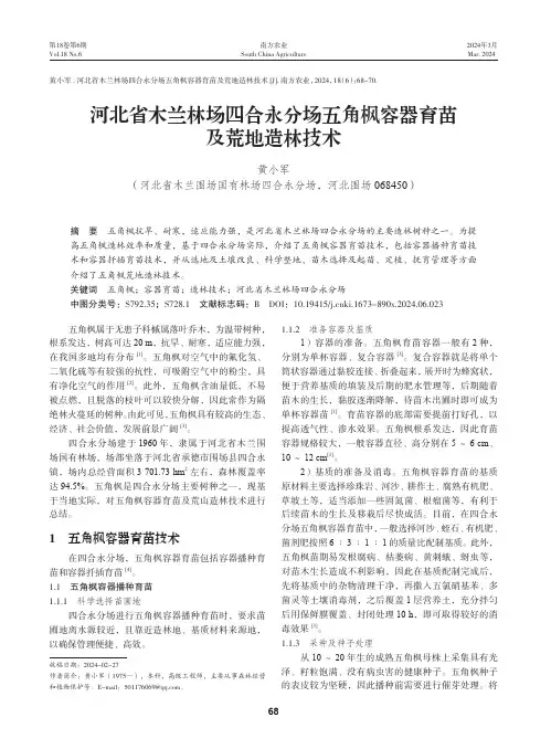 河北省木兰林场四合永分场五角枫容器育苗及荒地造林技术