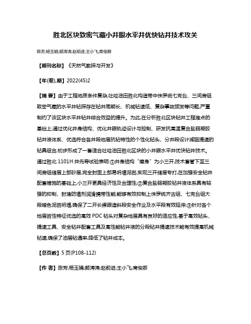 胜北区块致密气藏小井眼水平井优快钻井技术攻关