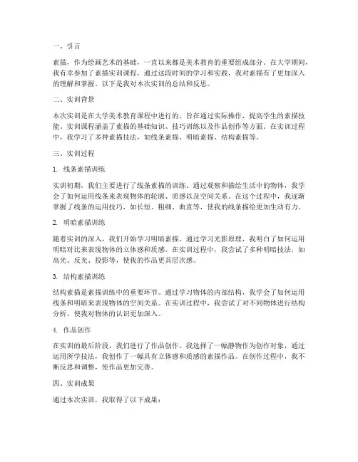 大学实训报告总结素描