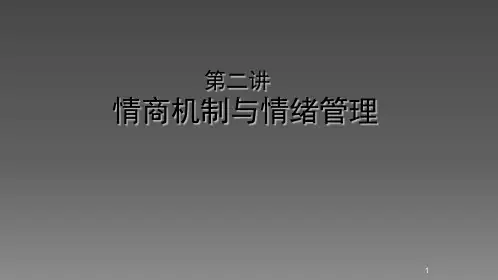 情商机制与情绪管理ppt课件